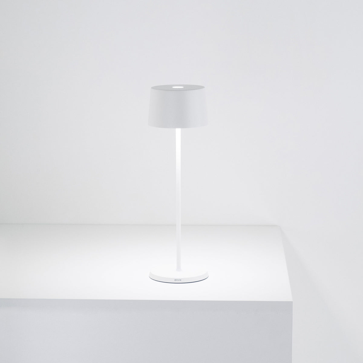 Liora Portable Table Lamp